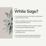 Organic White Sage Smudging Stick | Medium | Cedar and Myrrh