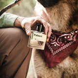 Palmer | Guy Fox