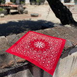 North Star | Burnt Orange | Mister Bandana