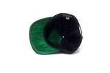 TX CITY SERIES III STADIUM Snapback | The Ampal Creative