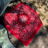 North Star | Burnt Orange | Mister Bandana