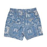 Deep Set Boardshorts | Palmetto Prophecy : Storm Blue | Howler Bros