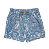 Deep Set Boardshorts | Palmetto Prophecy : Storm Blue | Howler Bros