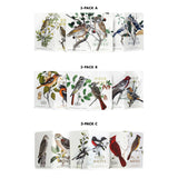 Birds and Trees of North America | Field Notes